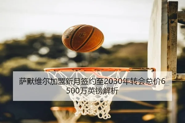 萨默维尔加盟新月签约至2030年转会总价6500万英镑解析